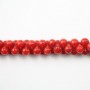 Red colored OS sea bamboo