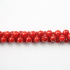 Red colored OS sea bamboo