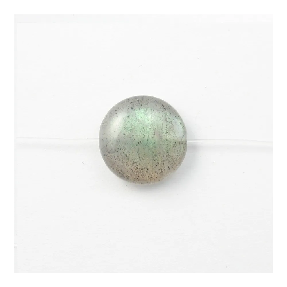 Labradorite Ronde Plate 6mm x 8pcs