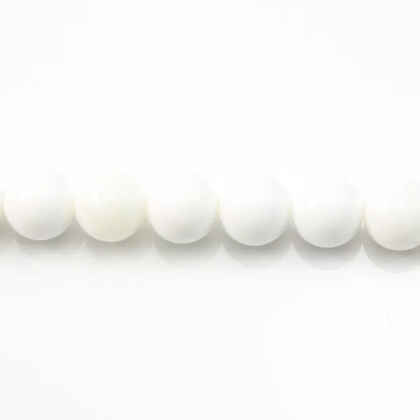 Clam Round 4mm x 20 pcs