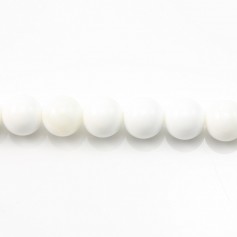 Clam Round 4mm x 20 pcs