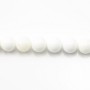 Clam Round 4mm x 20 pcs