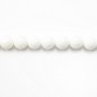 Clam Faceted Round 8mm X5 pcs