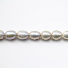  Freshwater Pearle ovale colored 6.5-7mm x 40cm