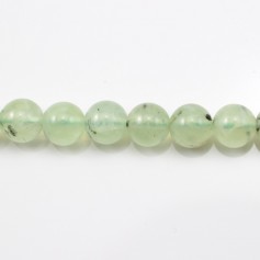 Prehnite Round  16mm x 40cm