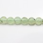 Prehnite Round  16mm x 40cm