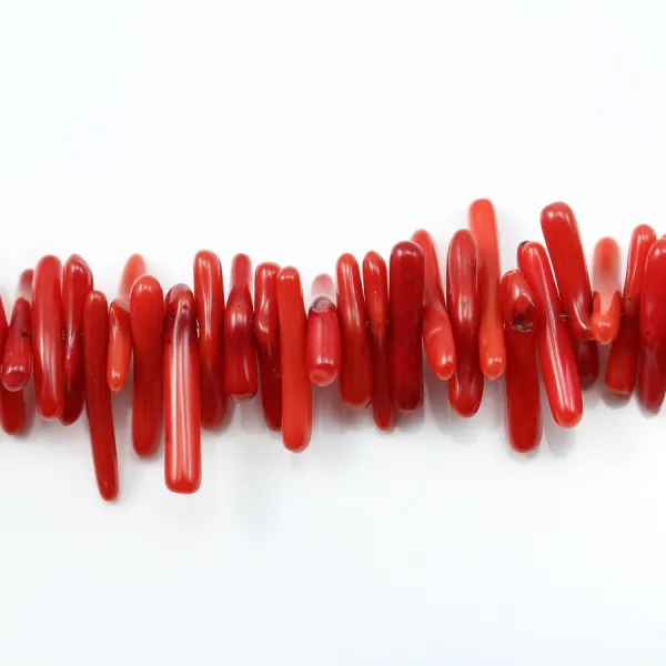 Bambou mer teinte rouge Baroque 20mm x 40cm