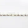 Clam Round 4mm x 40cm
