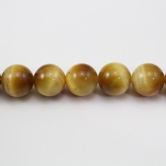 Golden Eye tiger round 8mm x 40cm