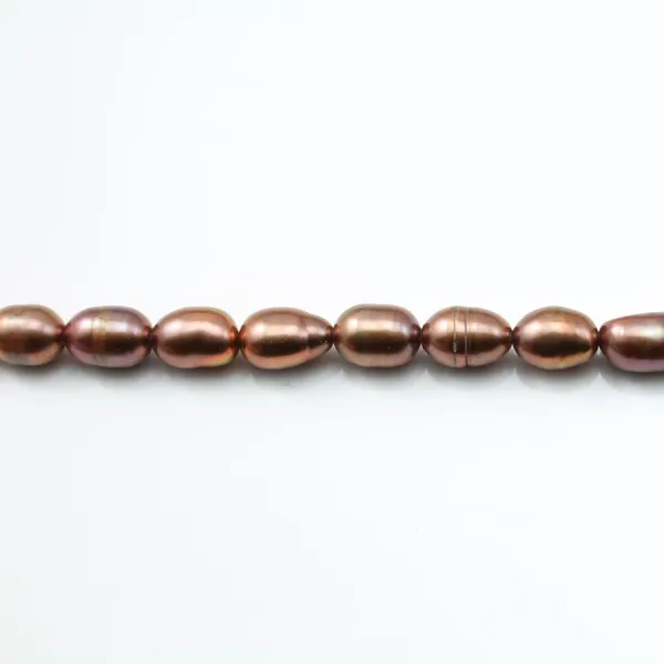 Perles de culture d'eau douce, marron, olive, 5-5.5mm x 10pcs