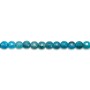 Apatite bleu, en forme de rond plat facetté, 4mm x 39cm
