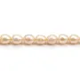 Perles de culture d'eau douce, saumon, olive, 9-10mm x 4pcs