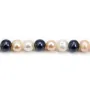 Perles de culture d'eau douce, multicolore, semi-ronde 7-8mm x 40cm