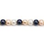 White & bleu round Freshwater Pearle 7-8mmX 5pcs