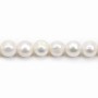 White oval freshwater pearl 12-14mm x 40cm