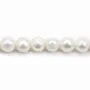 Perles de culture d'eau douce, blanche, ovale/irrégulière, 12-13mm x 40cm