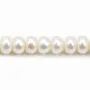 Perles de culture d'eau douce, blanche, bouton, 9mm x 38cm