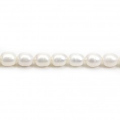 White ovale  freshwater pearl  10-11mm x 40cm