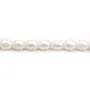 Perles d'eau Douce Blanc ovale 10-11mm x 40cm