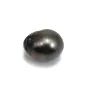 Perle de culture de Tahiti de forme semi-ronde 13-14mm x 1pc