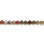 Agate botswana ronde 6mm x 40cm