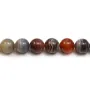 Agate botswana round 12mm x 40cm