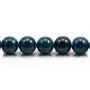 Apatite ronde 12mm x 40cm