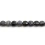 Cordiérite (Iolite) de forme rond plat facette, 6mm x 39cm