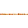 Round beads of 2mm in cornaline x 40cm 