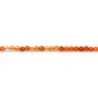 Cornelian flat round beads on thread 8mm x 40cm
