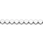 Hématite argenté trèfle 6mm x 40cm