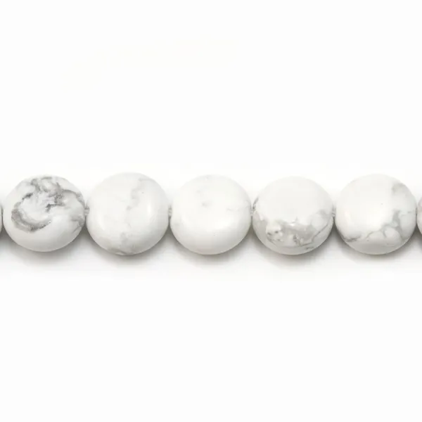Howlite, de forme ronde et plate, 10mm x 6pcs