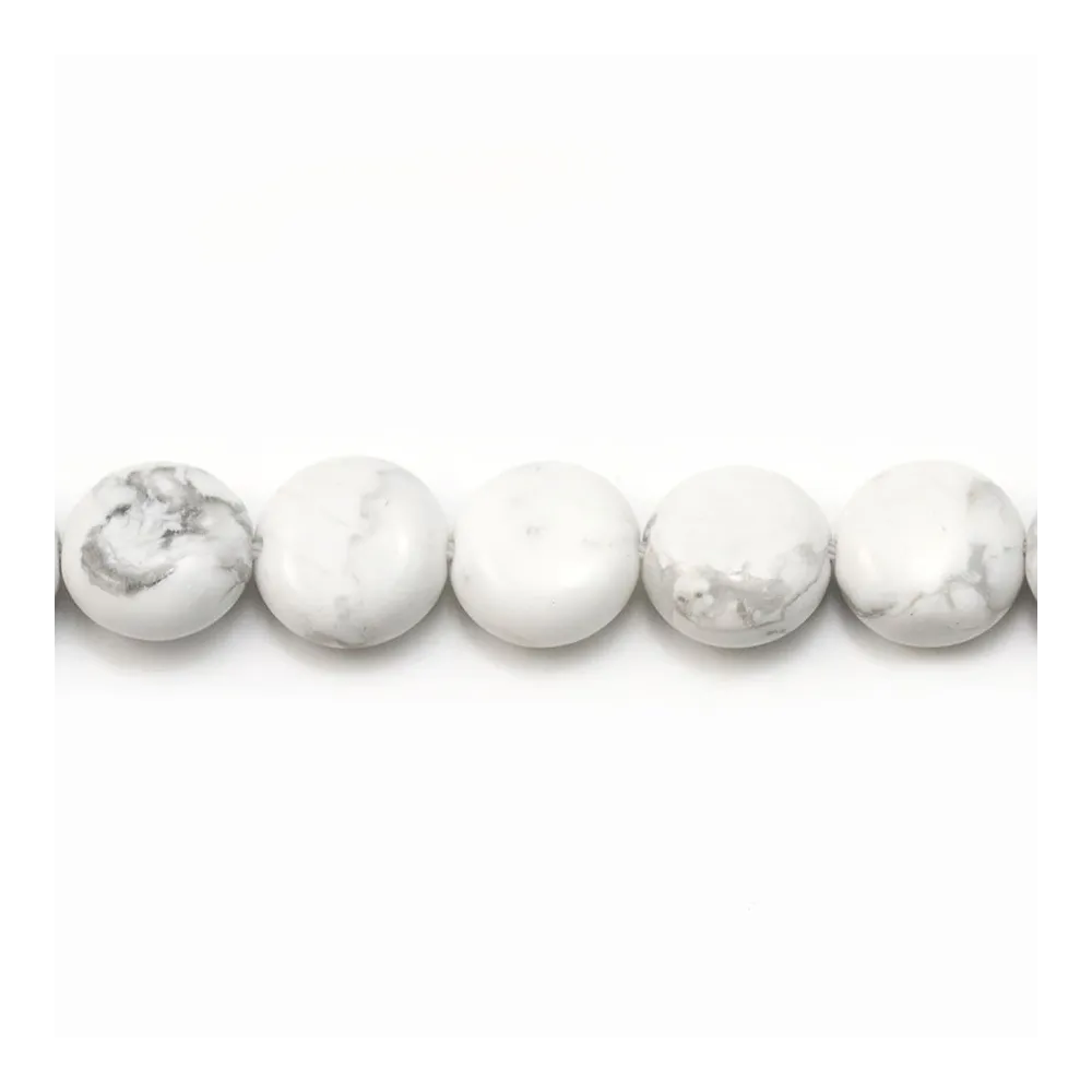 Howlite, de forme ronde et plate, 10mm x 6pcs