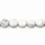 Howlite, de forme ronde et plate, 10mm x 6pcs