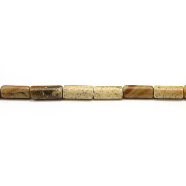 Jaspe paysage tube 4x8mm x 40cm