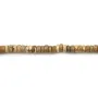 Jaspe paysage rondelle 2x4mm x 40cm
