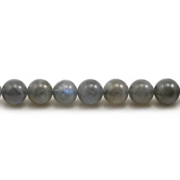 Labradorite Ronde 8mm x 6pcs