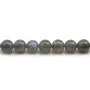 Labradorite Ronde 8mm x 6pcs