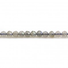 Labradorite Faceted Round 4mm x 10pcs 