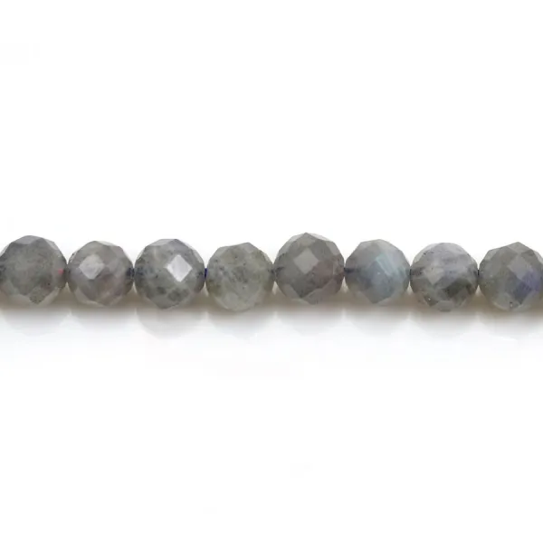 Labradorite Ronde Facette 6mm x 10pcs