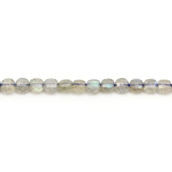 Labradorite ronde plate facette 4mm x 10pcs