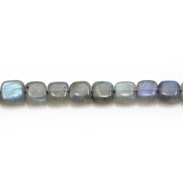 Labradorite grey, in a square shaped 6mm x 6 pcs