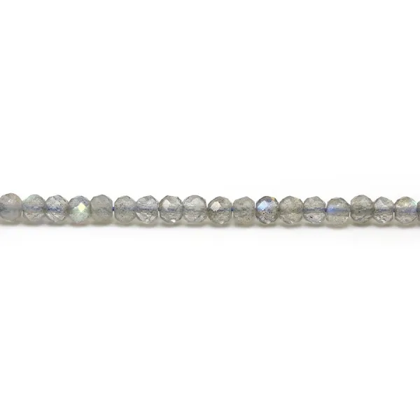 Labradorite rondelle facette 3x4mm x 4pcs