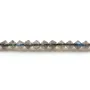Labadorite,en forme de toupie facette 4mm x 39cm