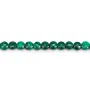 Malachite, de forme ronde plate facetté, 4mm x 40cm