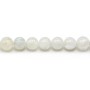 Round Moonstone 9mm x 2pcs