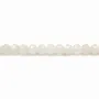 Pierre de lune ronde facette 4mm x 40cm
