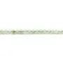 Préhnite ronde facette 3mm x 40cm