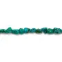 Turquoise in baroque shape x 39cm