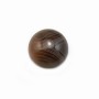 Cabochon agate du boswana, de forme ronde, 12mm x 2pcs